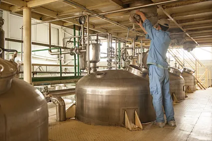 Selenium-enriched yeast